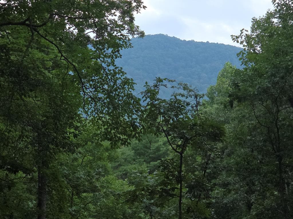 150 Trail Tree Drive, Blairsville GA 30512 - Photo
