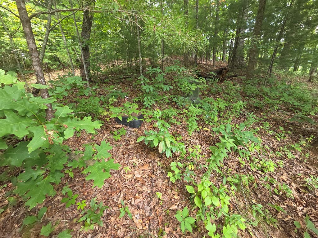 150 Trail Tree Drive, Blairsville GA 30512 - Photo