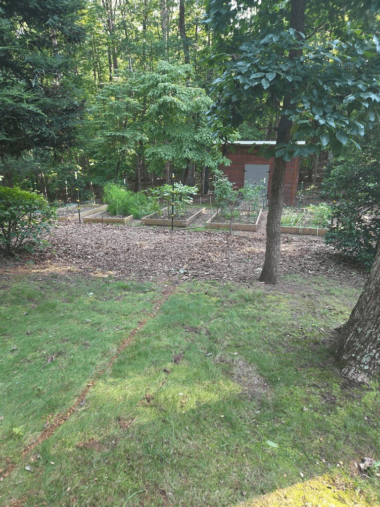 150 Trail Tree Drive, Blairsville GA 30512 - Photo