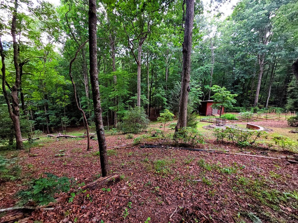 150 Trail Tree Drive, Blairsville GA 30512 - Photo