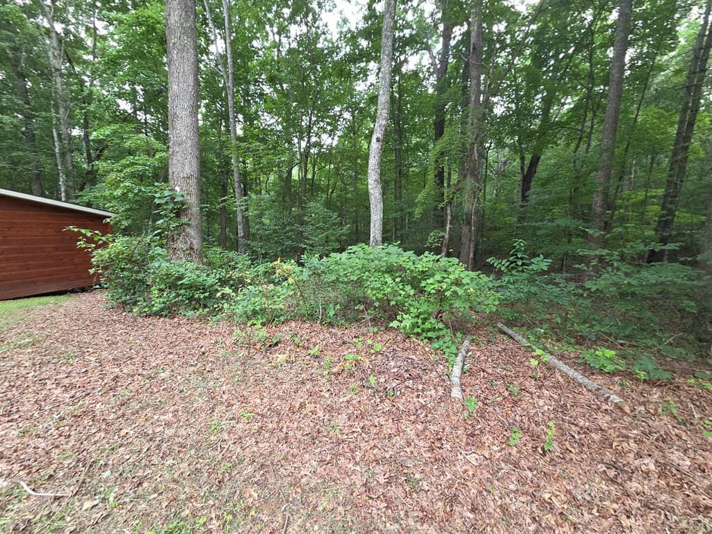 150 Trail Tree Drive, Blairsville GA 30512 - Photo