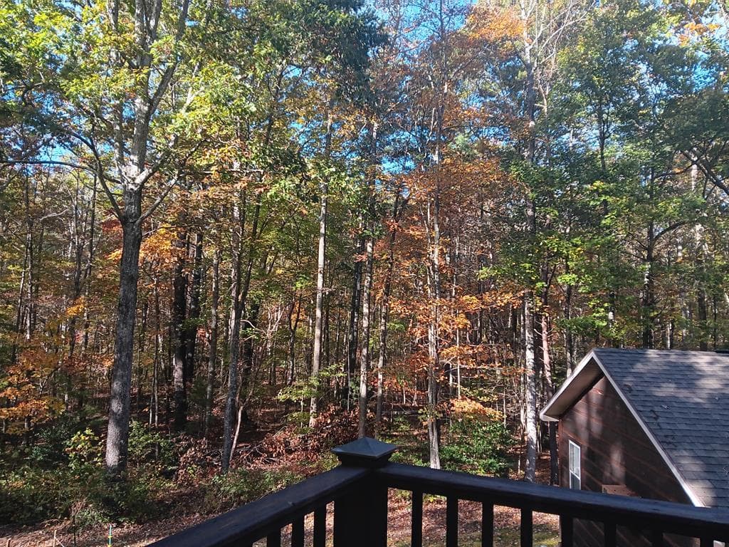 150 Trail Tree Drive, Blairsville GA 30512 - Photo
