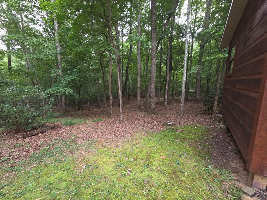 150 Trail Tree Drive, Blairsville GA 30512 - Photo