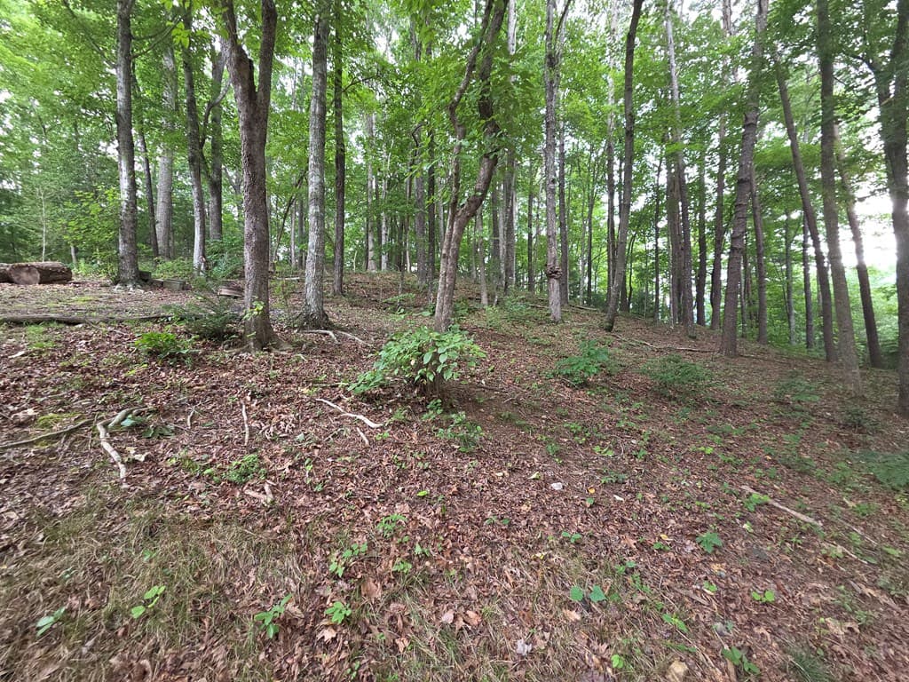 150 Trail Tree Drive, Blairsville GA 30512 - Photo