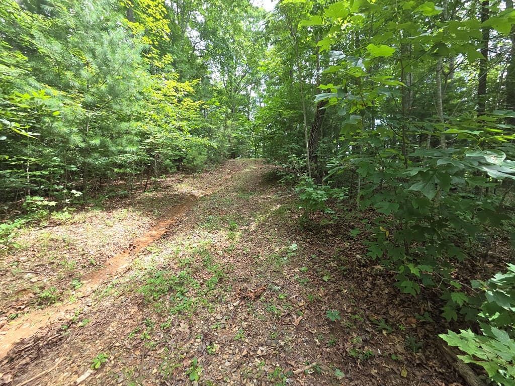 150 Trail Tree Drive, Blairsville GA 30512 - Photo