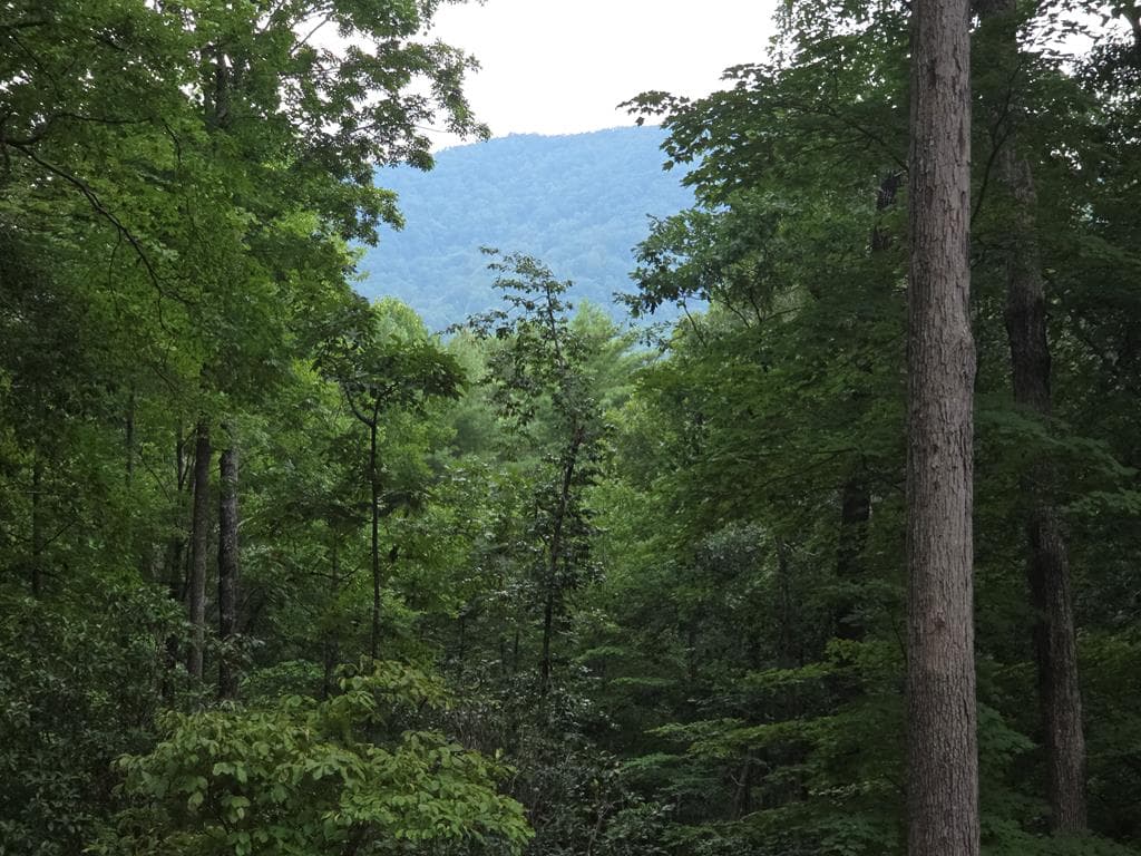 150 Trail Tree Drive, Blairsville GA 30512 - Photo