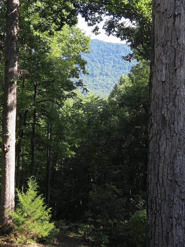 150 Trail Tree Drive, Blairsville GA 30512 - Photo