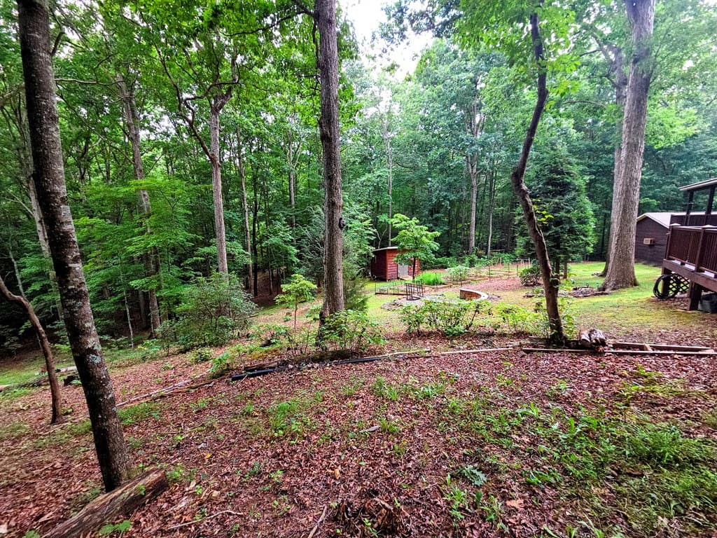150 Trail Tree Drive, Blairsville GA 30512 - Photo