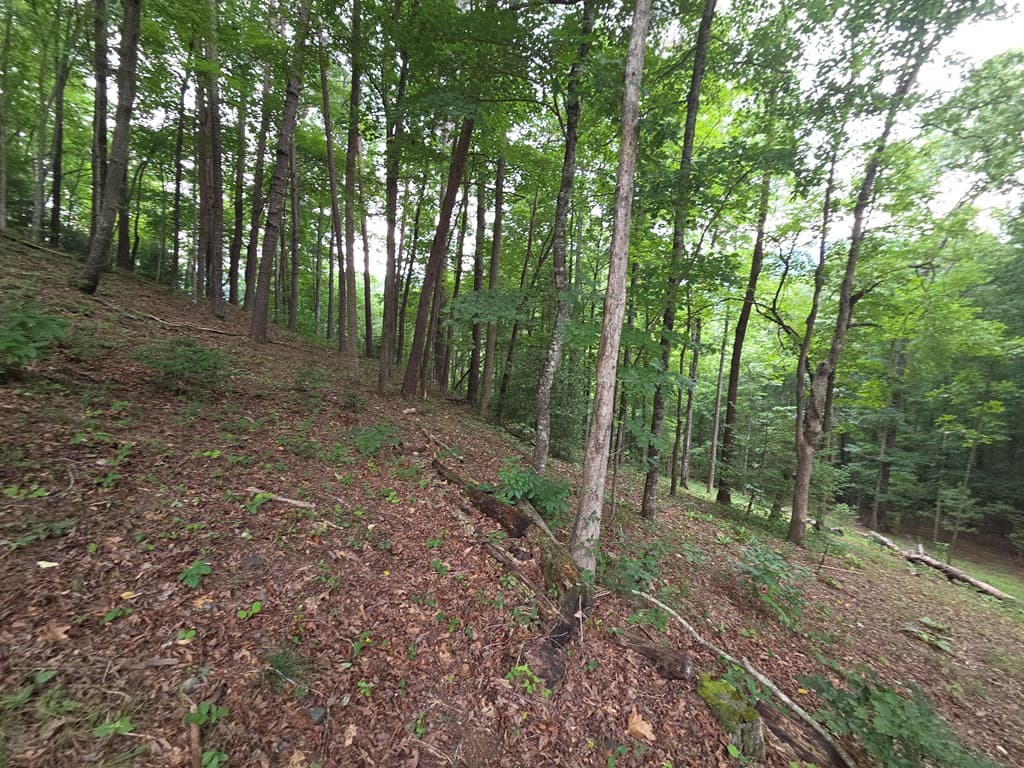 150 Trail Tree Drive, Blairsville GA 30512 - Photo