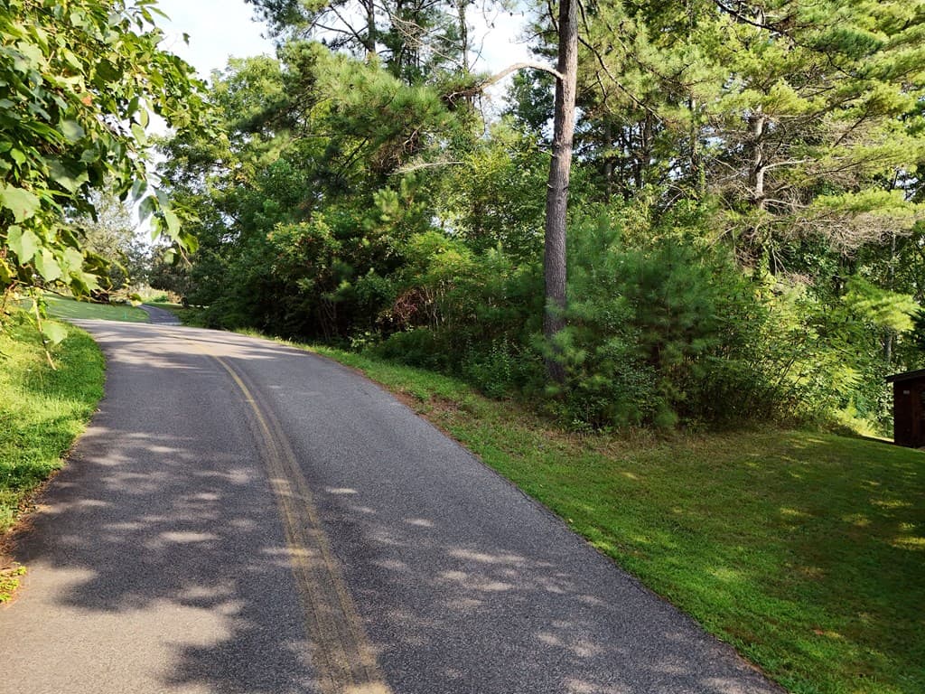 Lot 4 Butterfly Lane, Blairsville GA 30512 - Photo