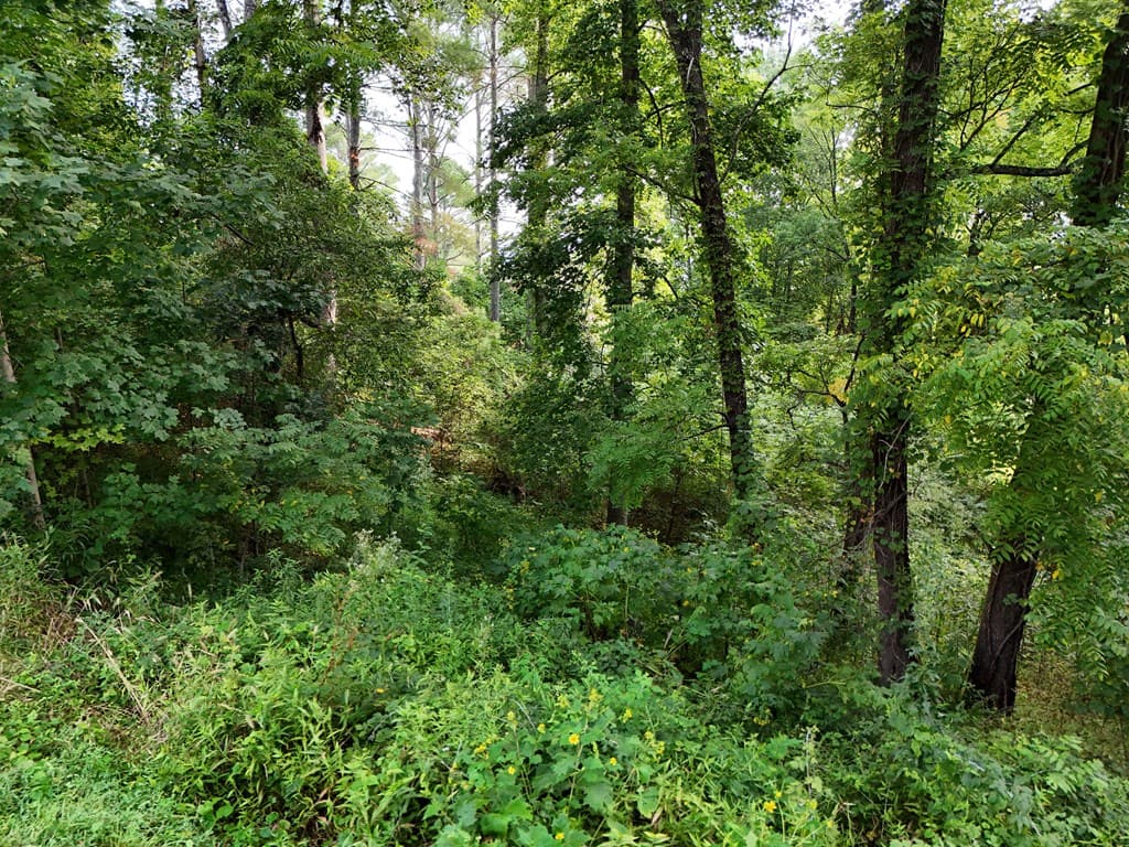 Lot 4 Butterfly Lane, Blairsville GA 30512 - Photo