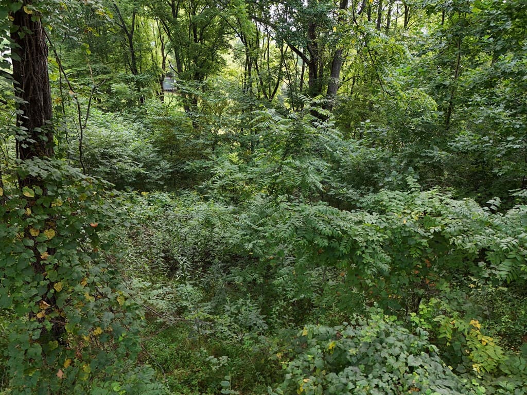 Lot 4 Butterfly Lane, Blairsville GA 30512 - Photo