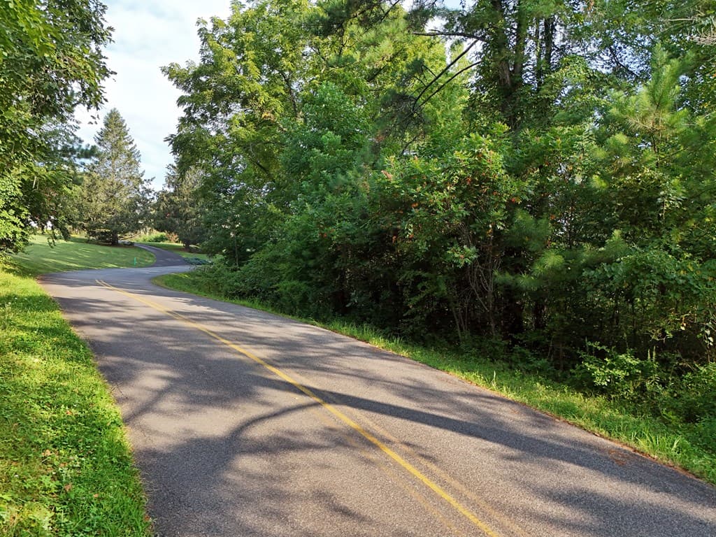 Lot 4 Butterfly Lane, Blairsville GA 30512 - Photo