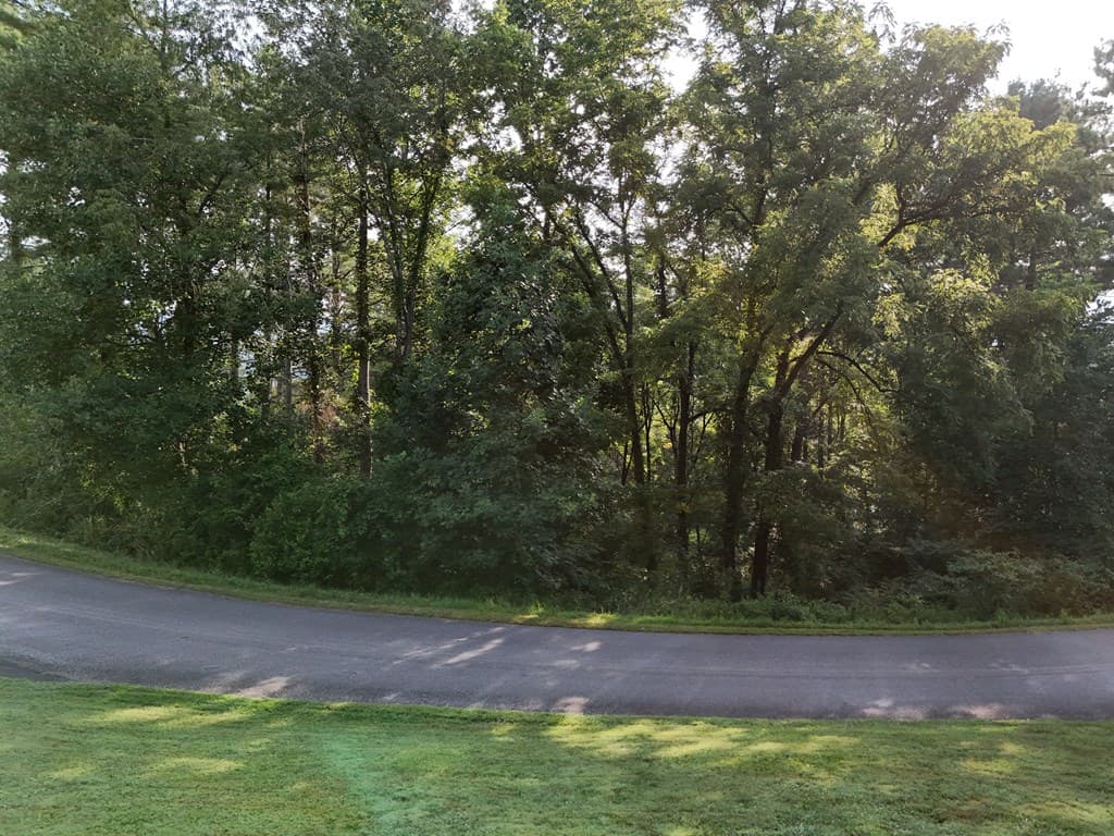 Lot 4 Butterfly Lane, Blairsville GA 30512 - Photo