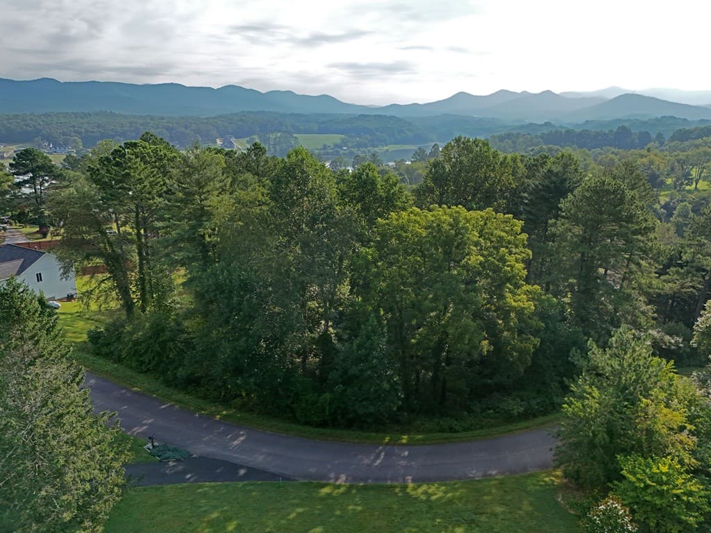 Lot 4 Butterfly Lane, Blairsville GA 30512 - Photo
