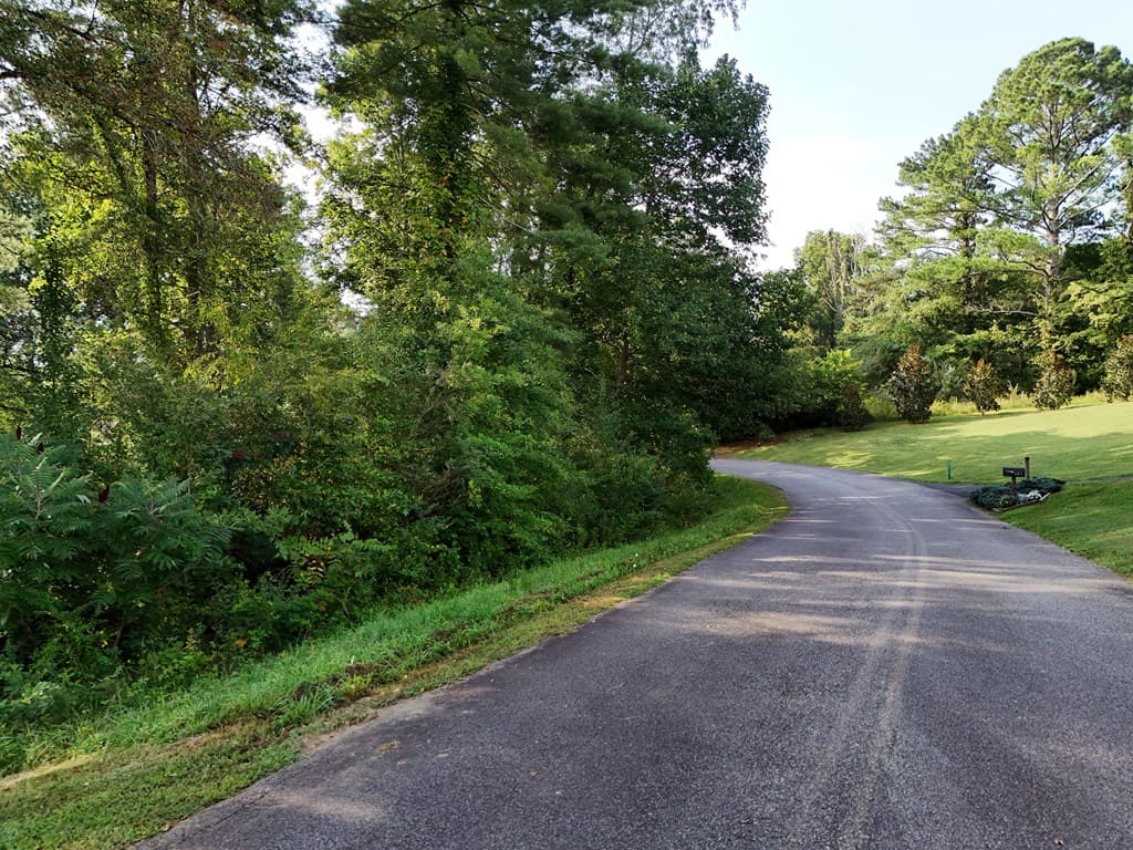 Lot 4 Butterfly Lane, Blairsville GA 30512 - Photo