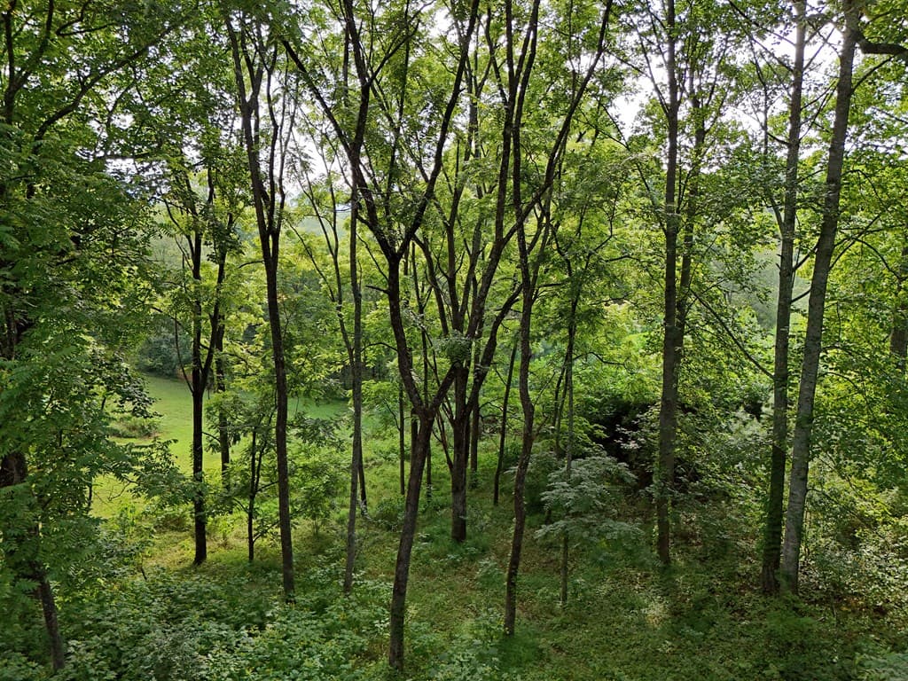 Lot 4 Butterfly Lane, Blairsville GA 30512 - Photo