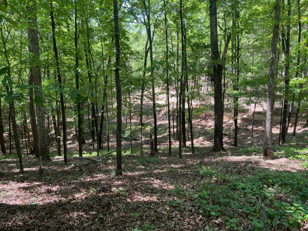 TRACT 3 Chalcrest Way, Cave Spring GA 30124 - Photo
