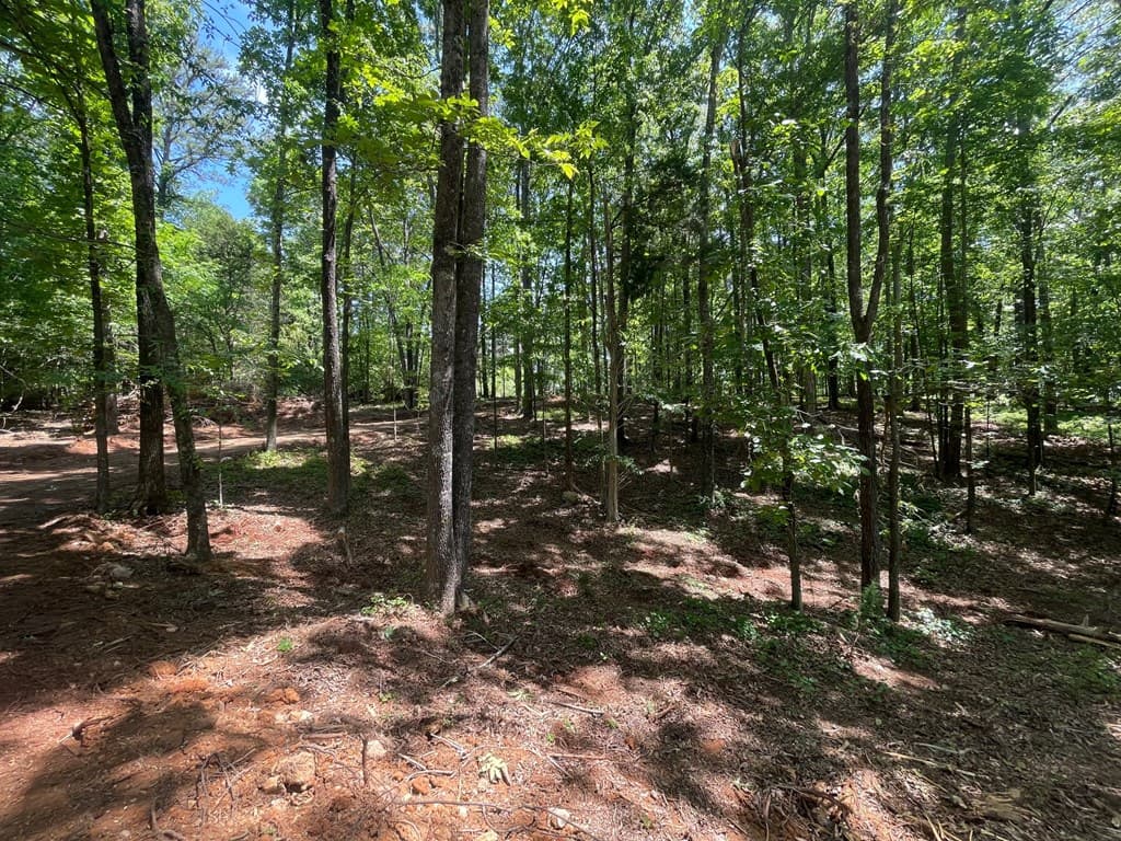 TRACT 3 Chalcrest Way, Cave Spring GA 30124 - Photo
