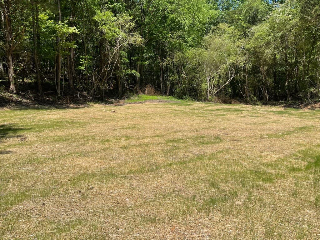 TRACT 3 Chalcrest Way, Cave Spring GA 30124 - Photo