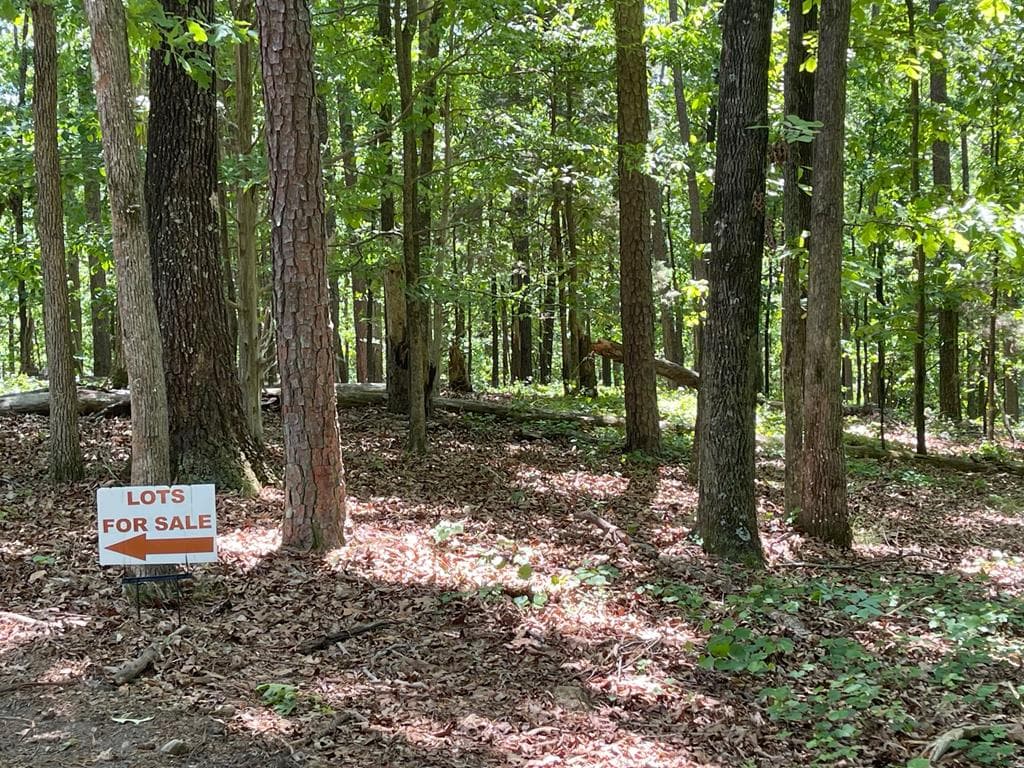 TRACT 3 Chalcrest Way, Cave Spring GA 30124 - Photo