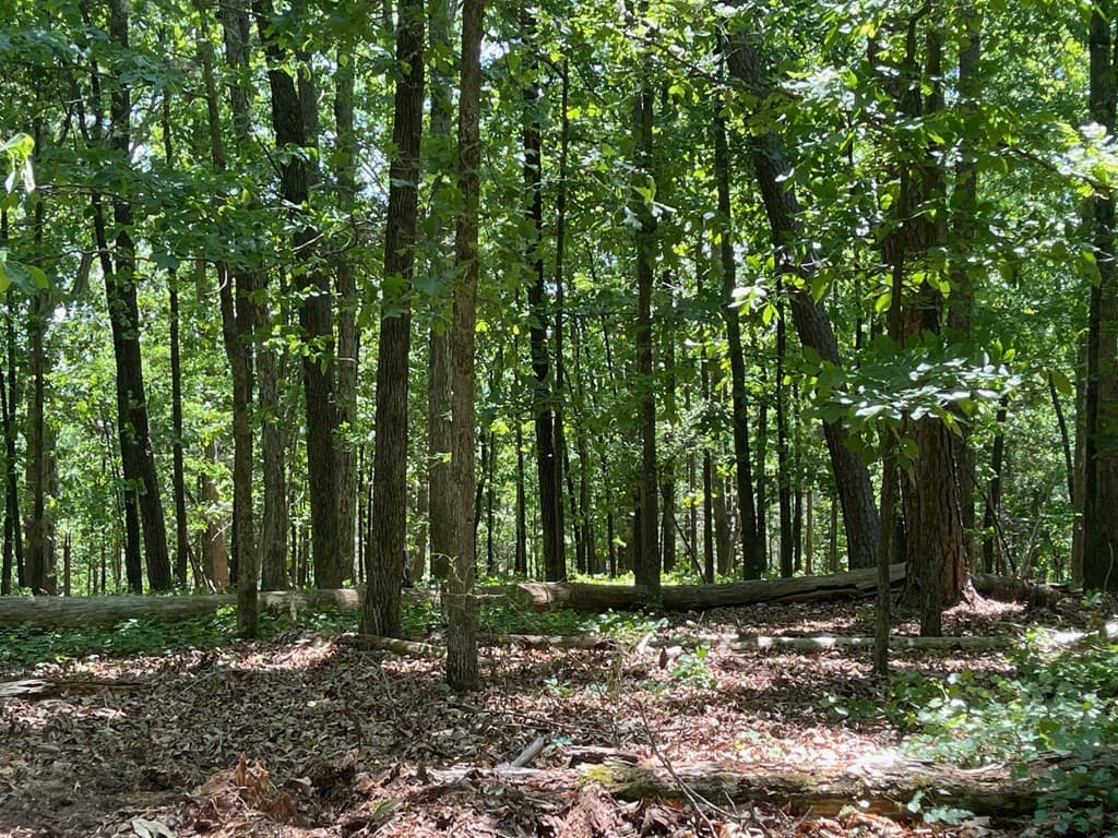 TRACT 3 Chalcrest Way, Cave Spring GA 30124 - Photo