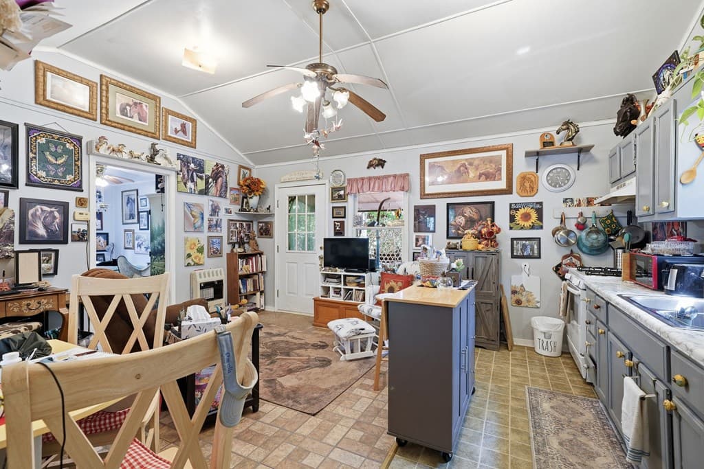 237 Rusty Lady Ln, Ellijay GA 30536 - Photo