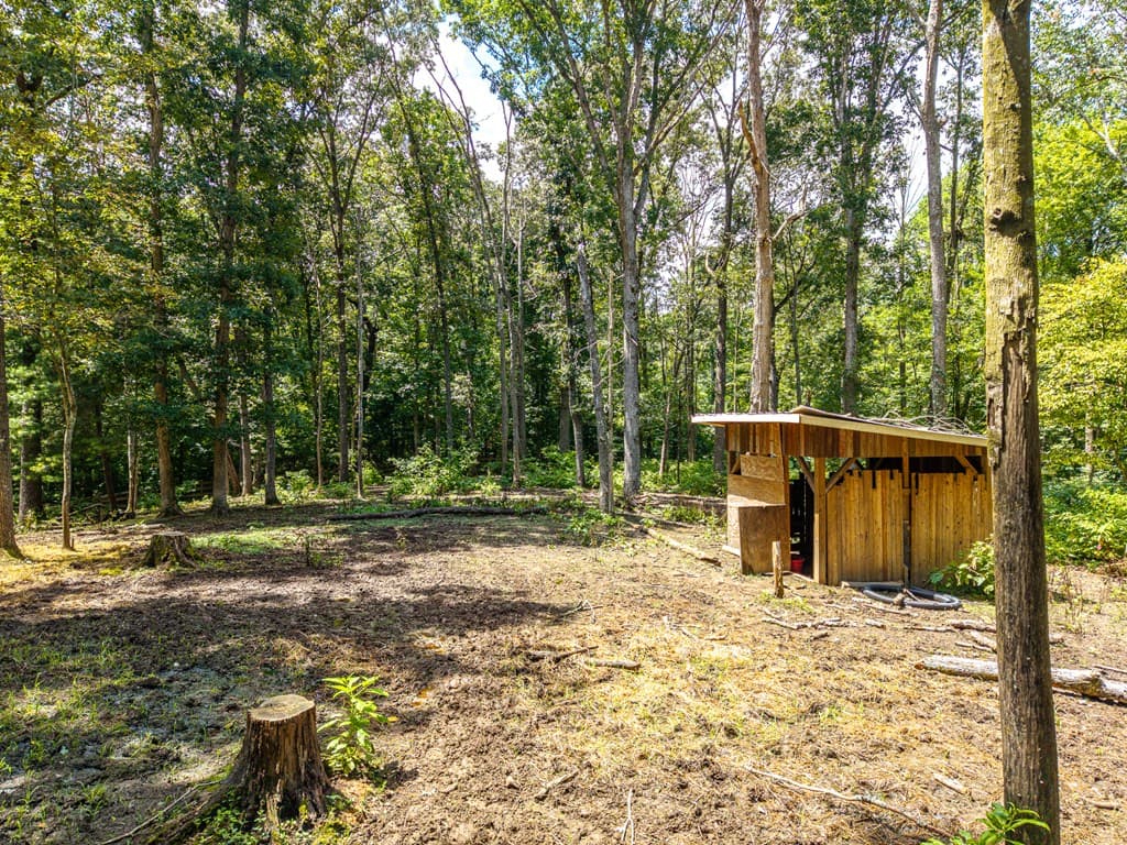 237 Rusty Lady Ln, Ellijay GA 30536 - Photo