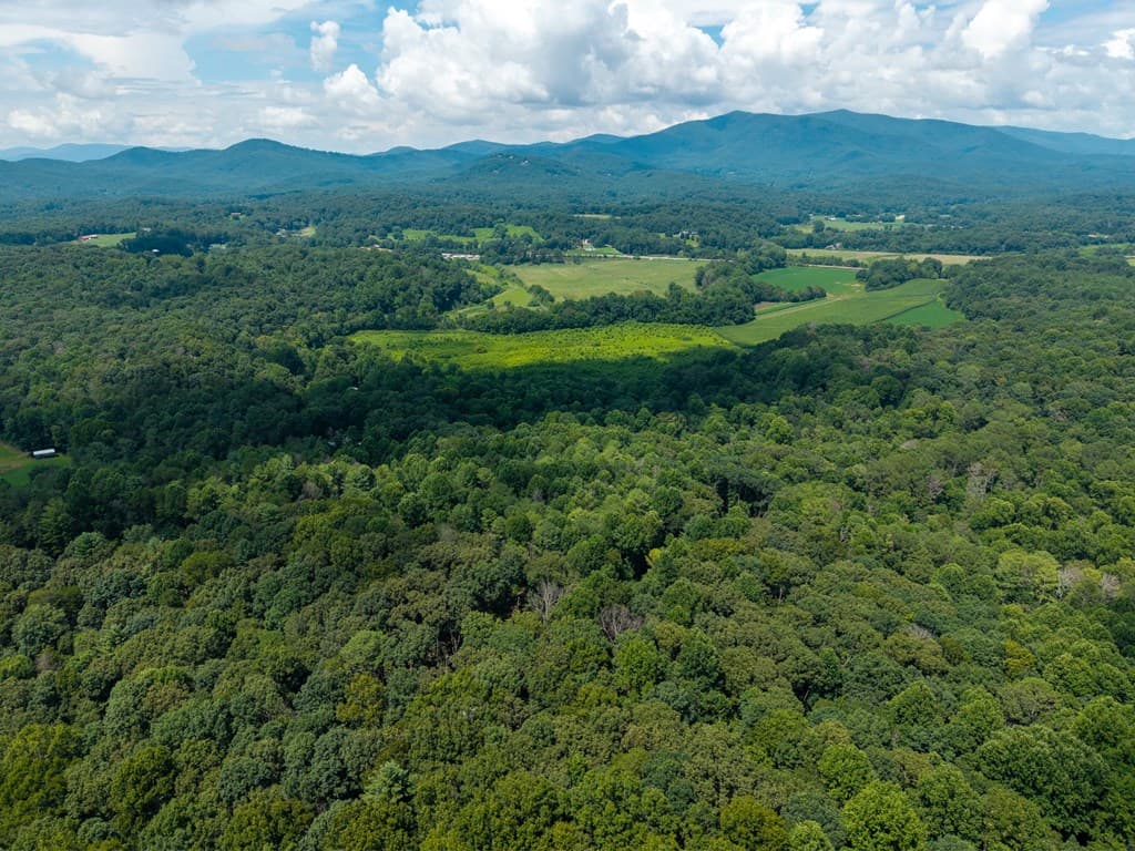 237 Rusty Lady Ln, Ellijay GA 30536 - Photo