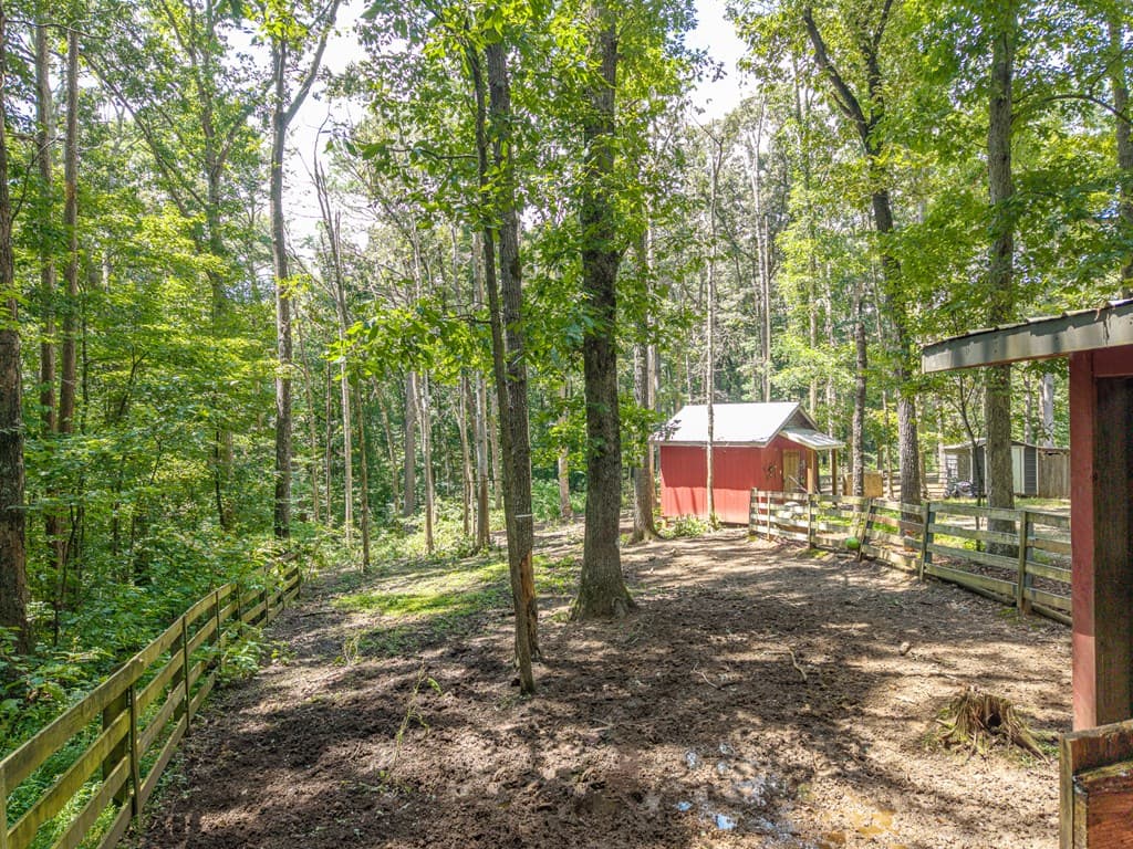 237 Rusty Lady Ln, Ellijay GA 30536 - Photo