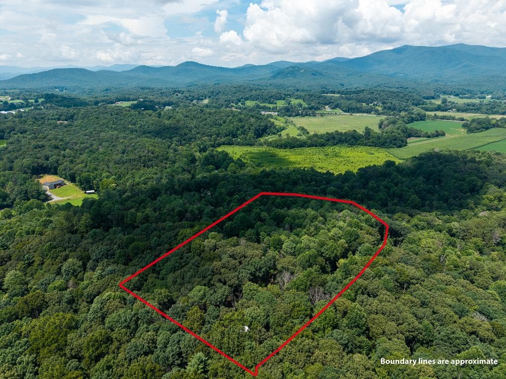 237 Rusty Lady Ln, Ellijay GA 30536 - Primary photo