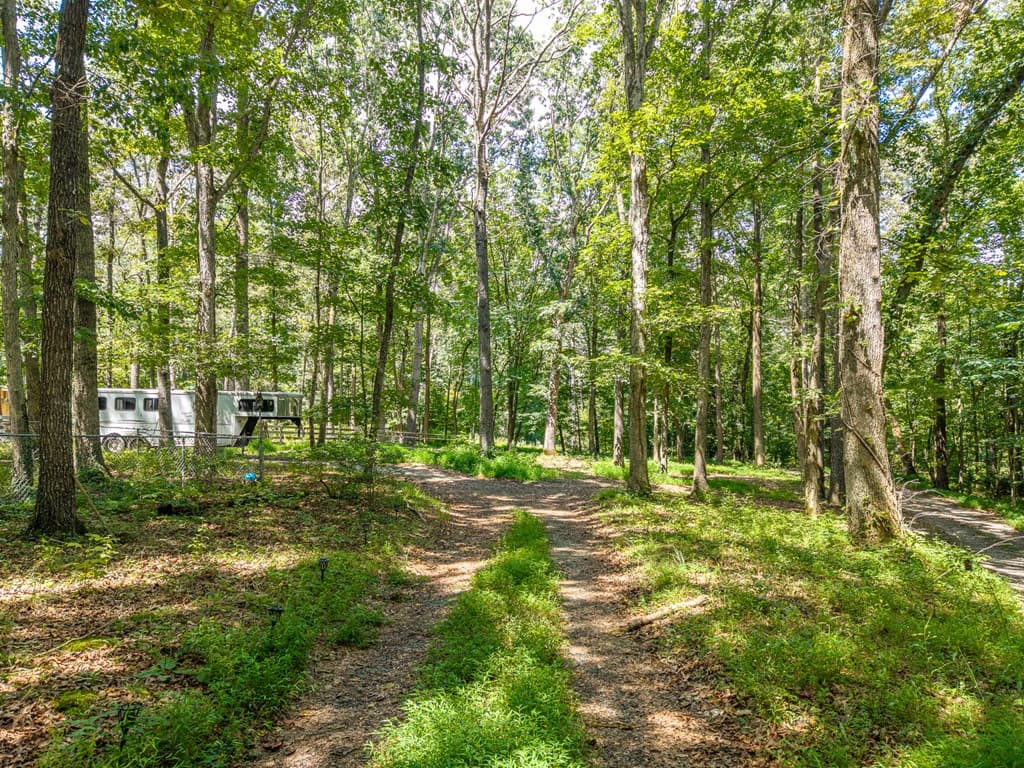 237 Rusty Lady Ln, Ellijay GA 30536 - Photo