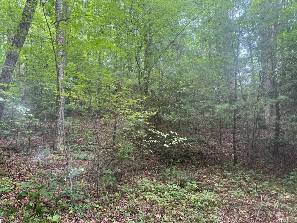 00 Camp Creek Estates Drive, Murphy NC 28906 - Photo