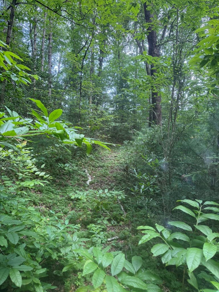 00 Camp Creek Estates Drive, Murphy NC 28906 - Photo