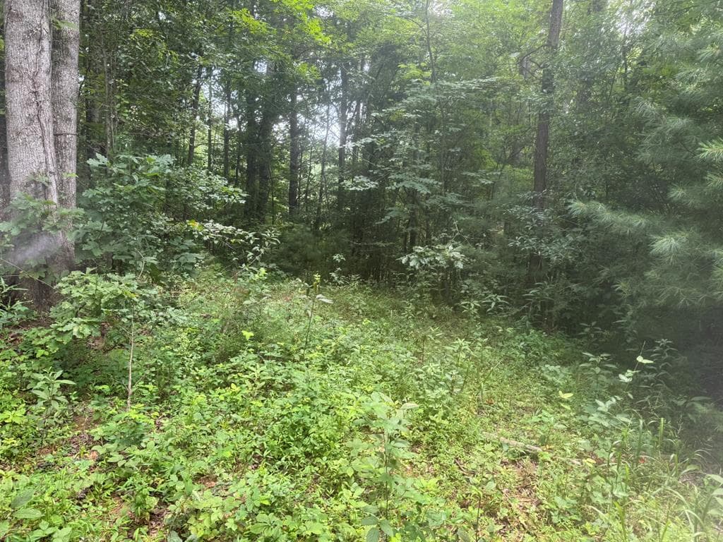 00 Camp Creek Estates Drive, Murphy NC 28906 - Primary photo