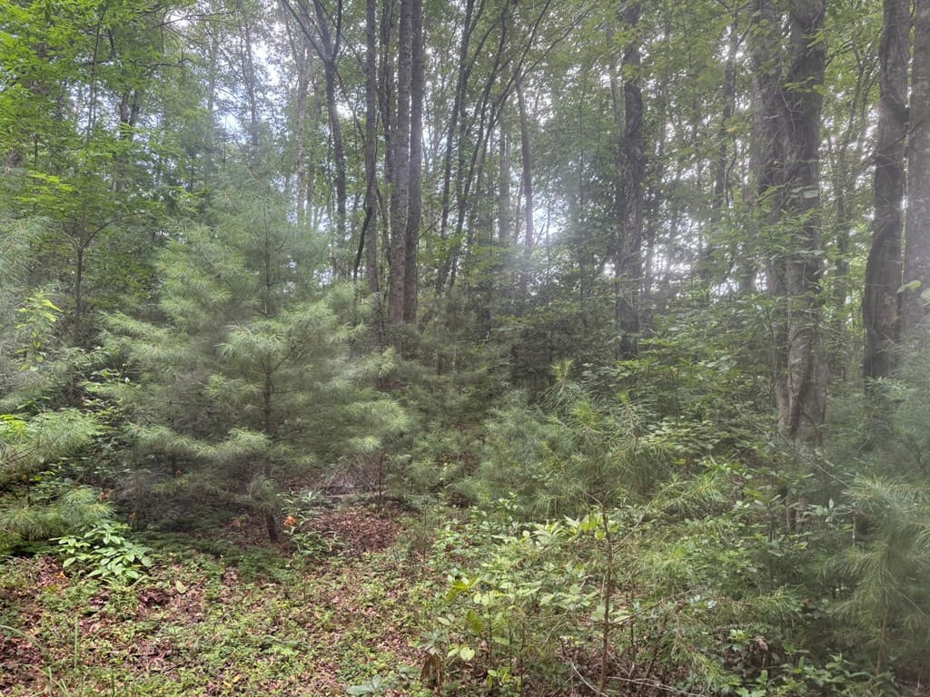 00 Camp Creek Estates Drive, Murphy NC 28906 - Photo