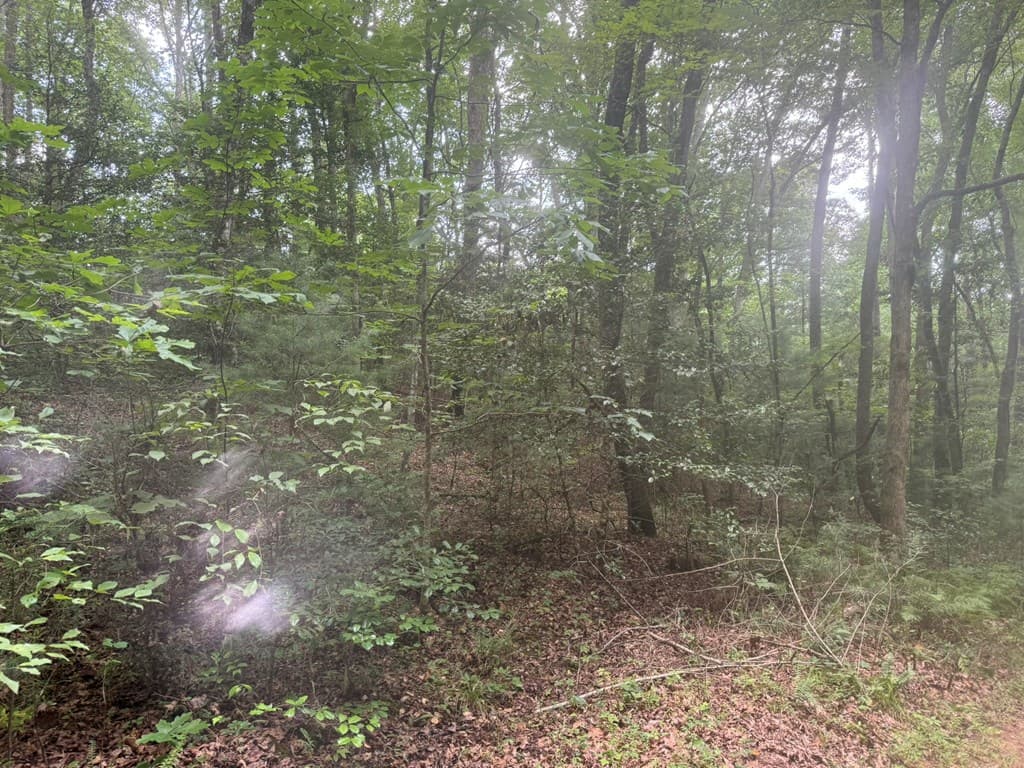 00 Camp Creek Estates Drive, Murphy NC 28906 - Photo