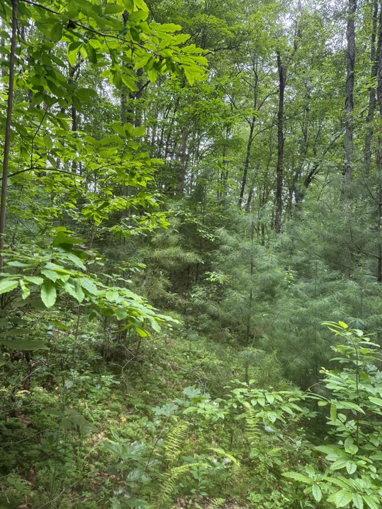 00 Camp Creek Estates Drive, Murphy NC 28906 - Photo
