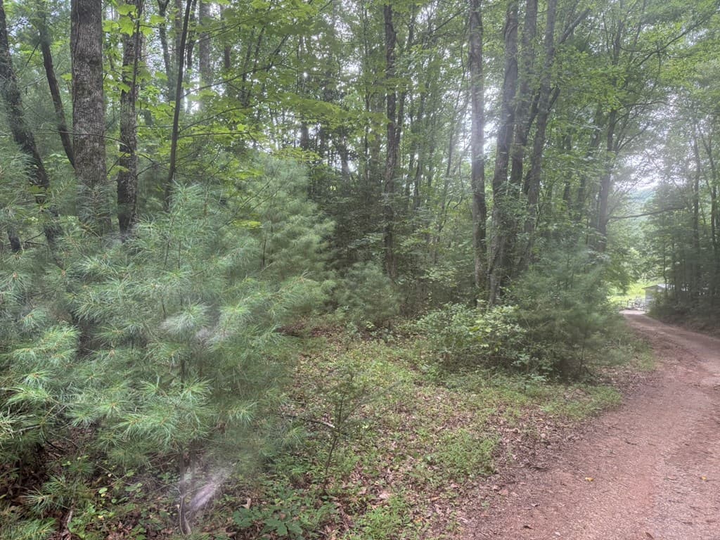 00 Camp Creek Estates Drive, Murphy NC 28906 - Photo