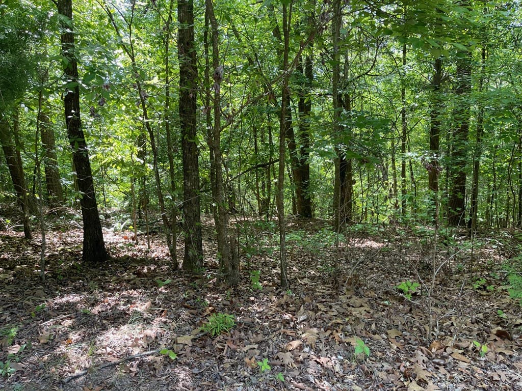 TRACT1A Chalcrest Way, Cave Spring GA 30124 - Photo