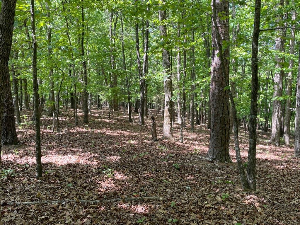 TRACT1A Chalcrest Way, Cave Spring GA 30124 - Photo
