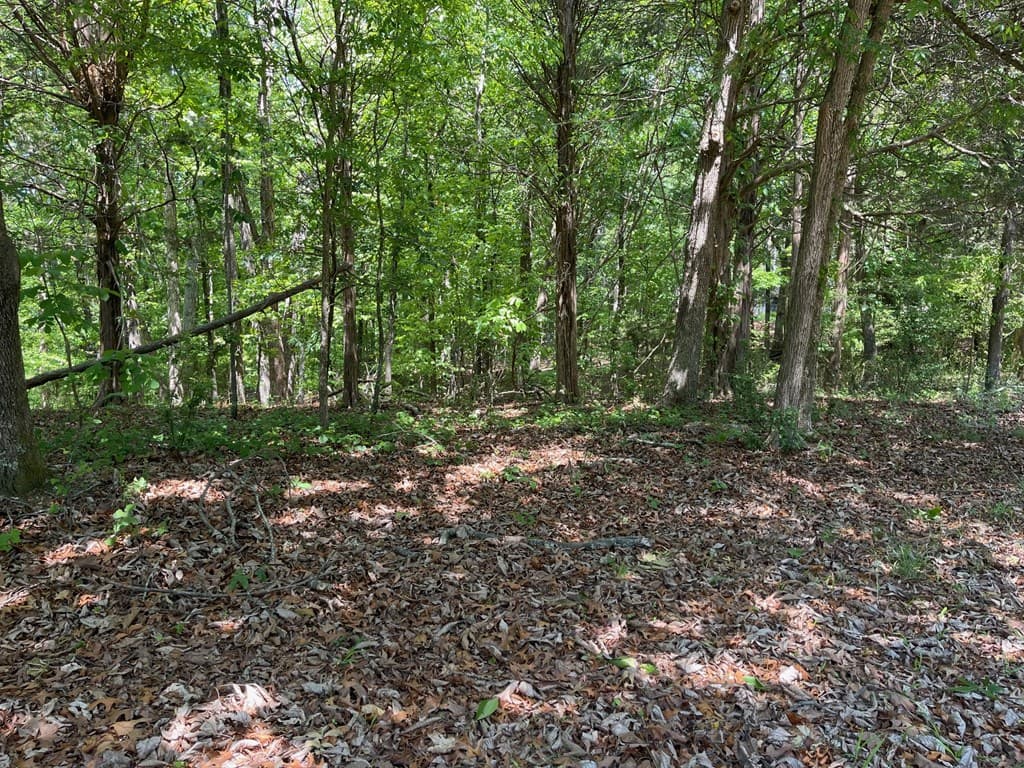 TRACT1A Chalcrest Way, Cave Spring GA 30124 - Photo