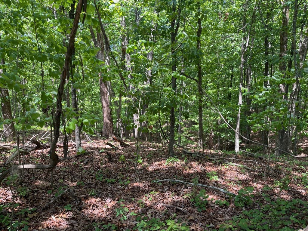 TRACT1A Chalcrest Way, Cave Spring GA 30124 - Photo