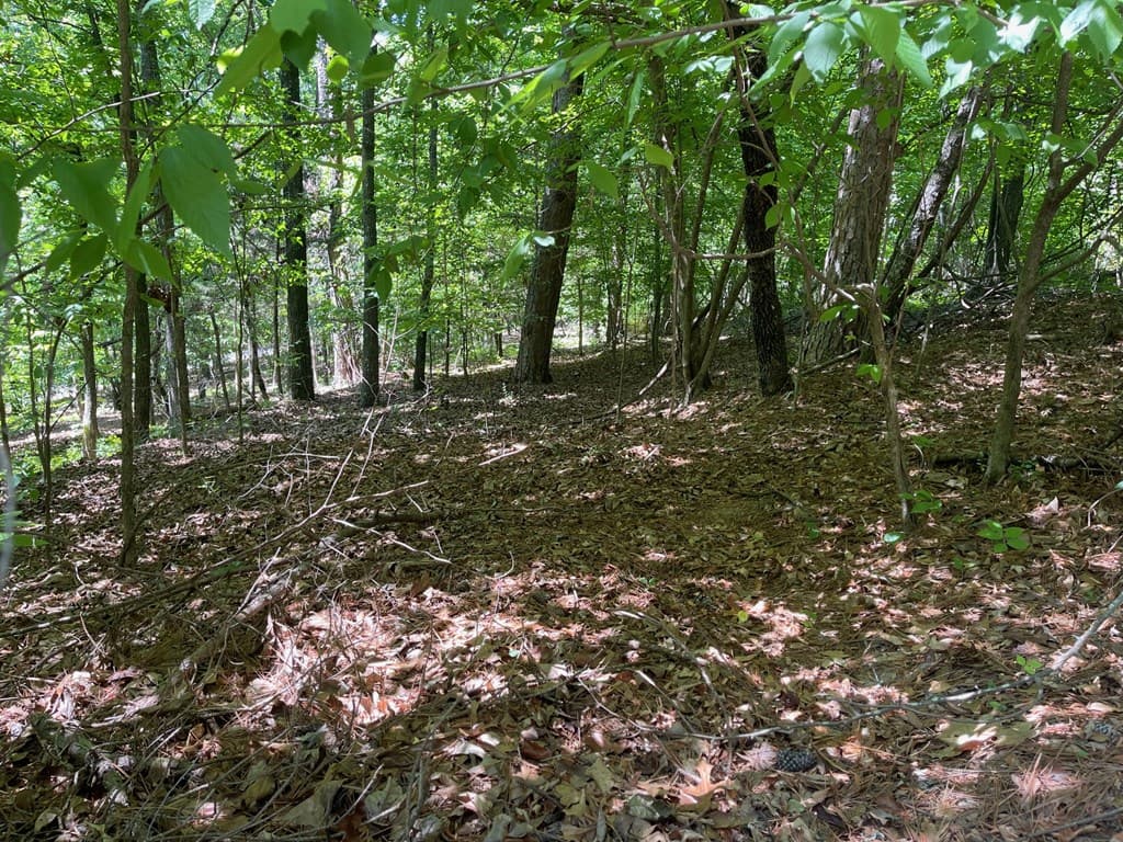 TRACT1A Chalcrest Way, Cave Spring GA 30124 - Photo