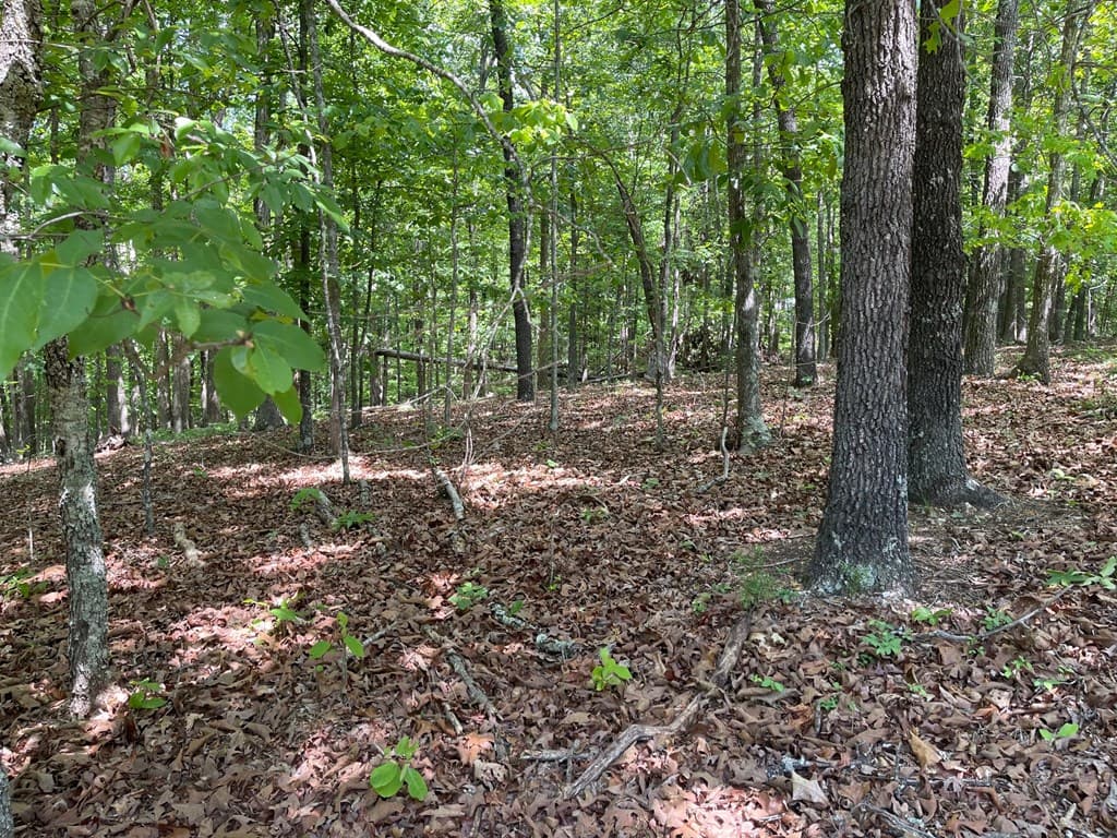 TRACT1A Chalcrest Way, Cave Spring GA 30124 - Photo