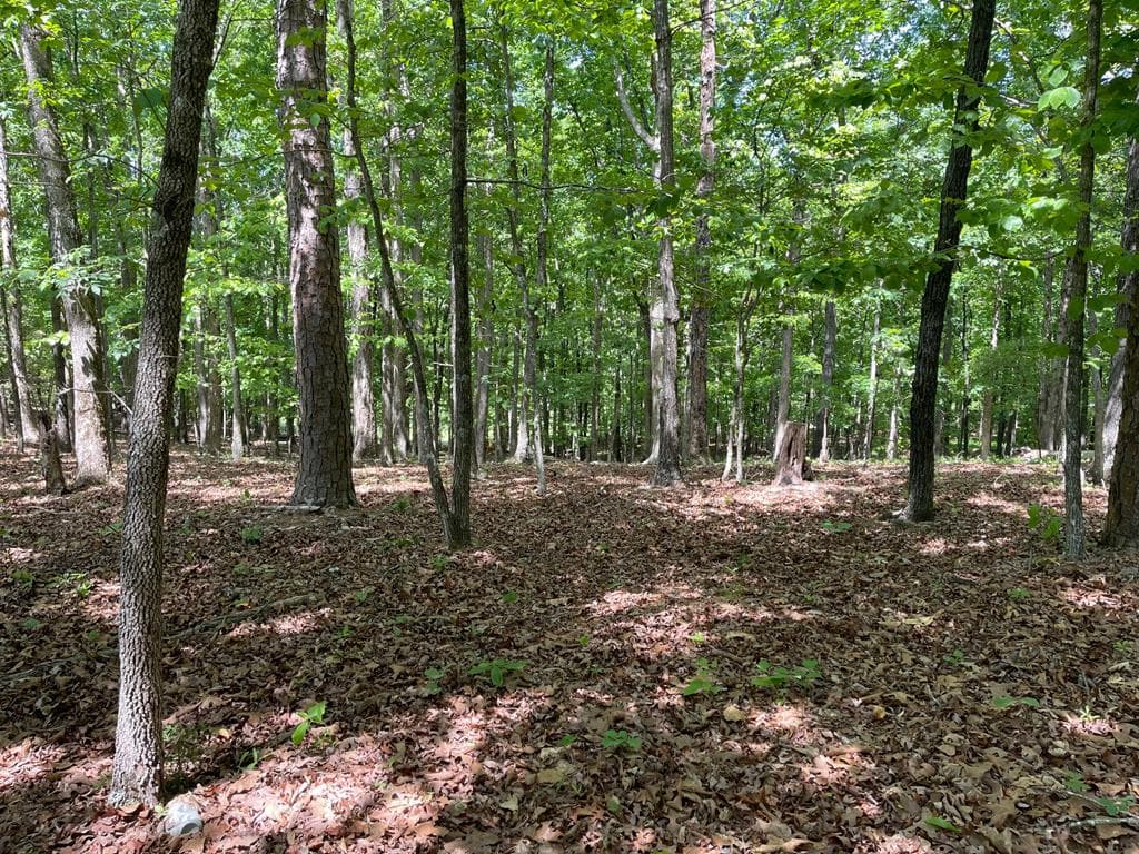 TRACT1A Chalcrest Way, Cave Spring GA 30124 - Primary photo