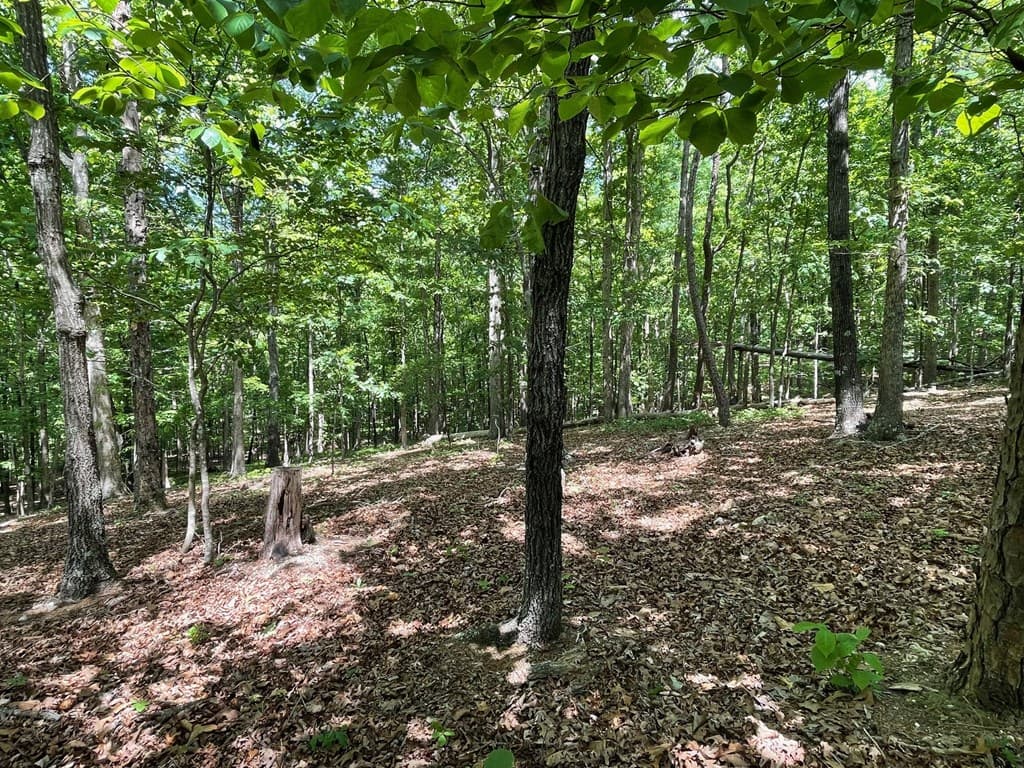 TRACT1A Chalcrest Way, Cave Spring GA 30124 - Photo