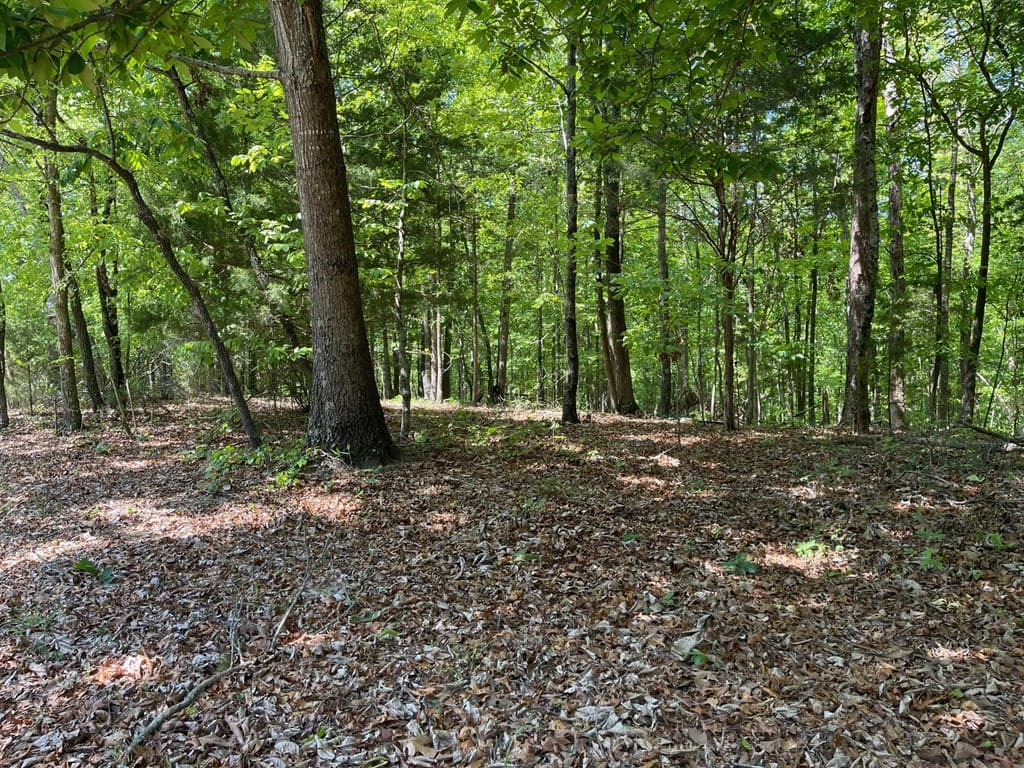 TRACT1A Chalcrest Way, Cave Spring GA 30124 - Photo