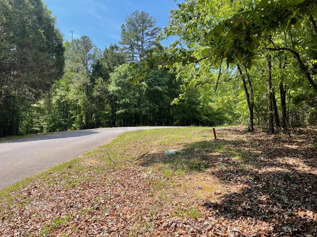 TRACT1A Chalcrest Way, Cave Spring GA 30124 - Photo