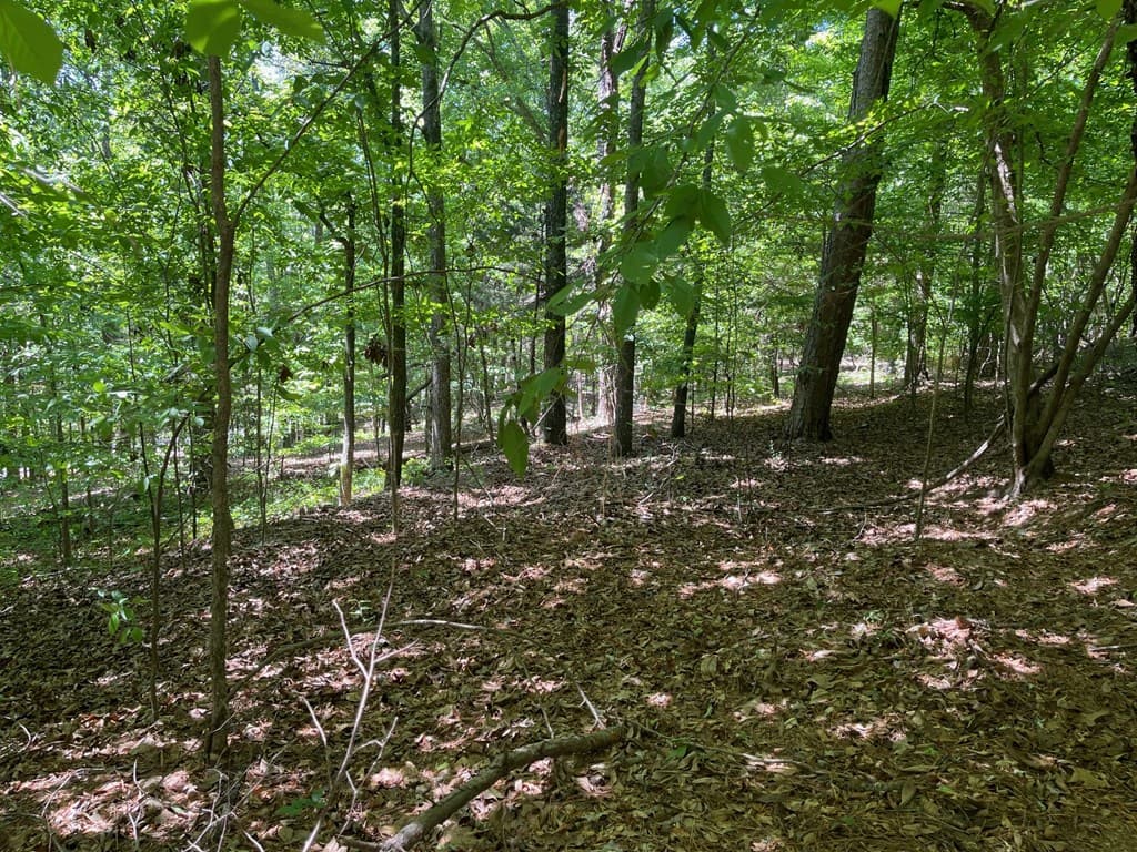 TRACT1A Chalcrest Way, Cave Spring GA 30124 - Photo